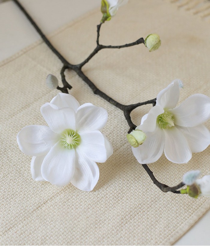 Magnolia - wit Magnolia - wit