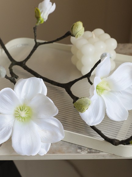 Magnolia - wit Magnolia - wit
