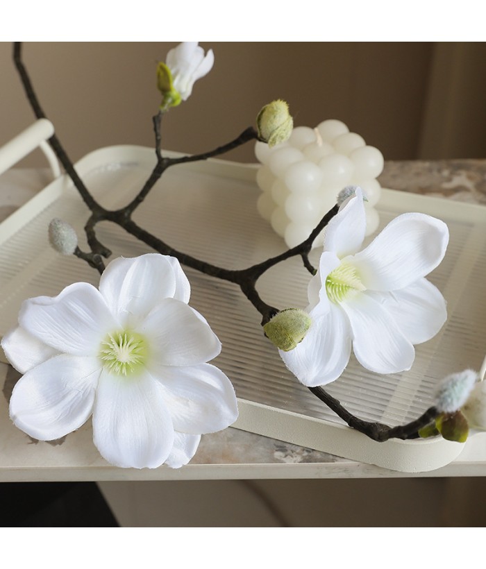 Magnolia - wit