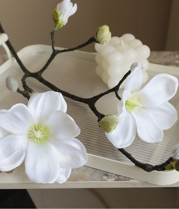 Magnolia - wit Magnolia - wit