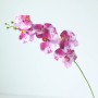 Orchidee - donkerroze