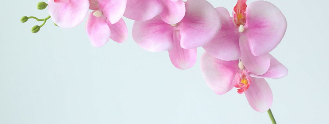 feestdagen decoratie kiku boeket: stijlvolle feestdagen met kunst chrysanten