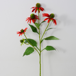 Zonnehoed - rood