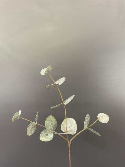 Eucalyptus tak - real touch - groen