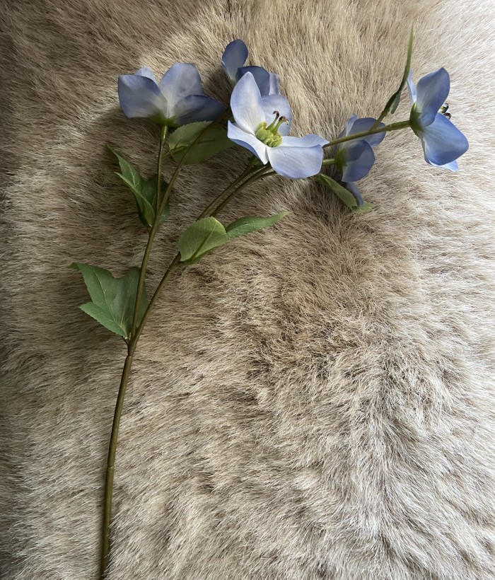 Roos - 5-koppige - blauw Roos - 5-koppige - blauw