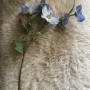 Roos - 5-koppige - blauw