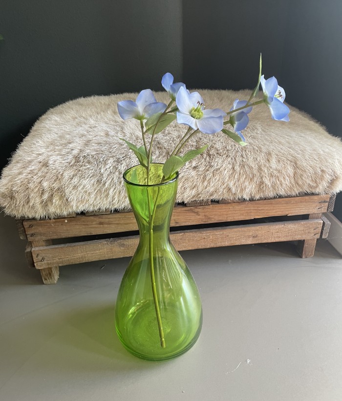 Roos - 5-koppige - blauw Roos - 5-koppige - blauw