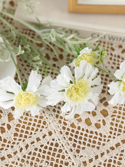 Scabiosa - wit Scabiosa - wit