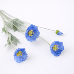 Klaproos - 4 koppig - blauw