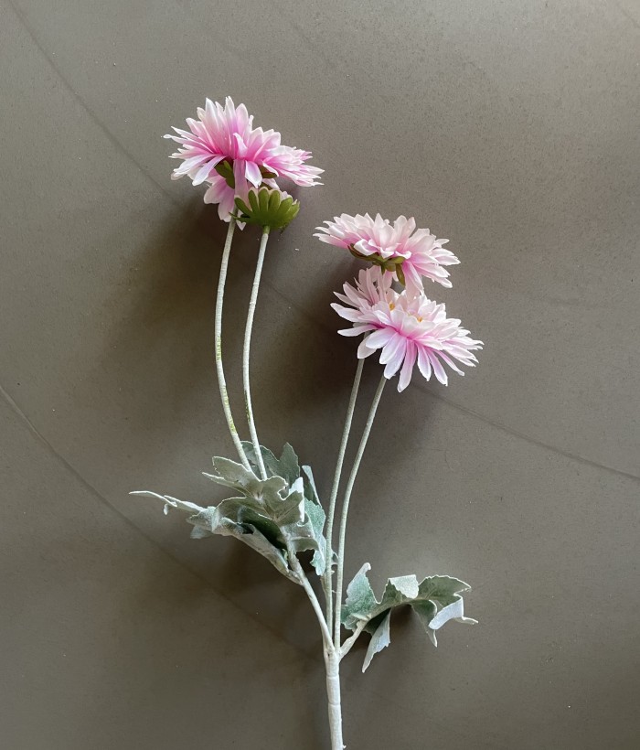 Chrysant - 4 koppig - lichtpaars Chrysant - 4 koppig - lichtpaars