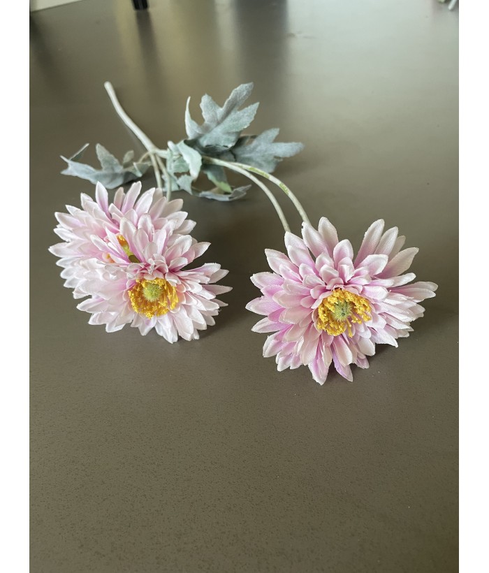 Chrysant - 4 koppig - lichtpaars