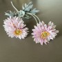 Chrysant - 4 koppig - lichtpaars