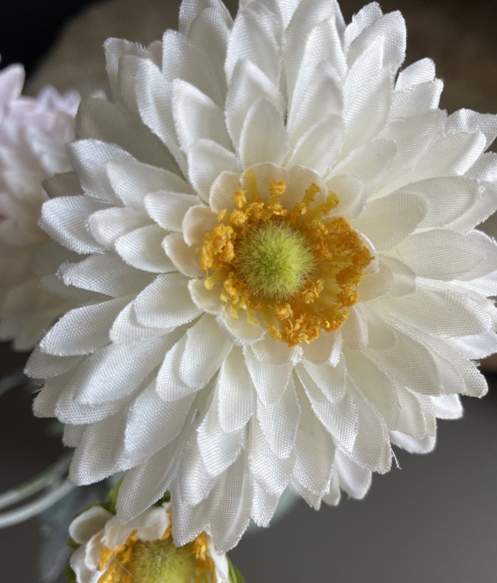 Chrysant - 4 koppig - wit Chrysant - 4 koppig - wit
