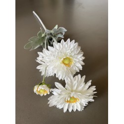 Chrysant - 4 koppig - wit