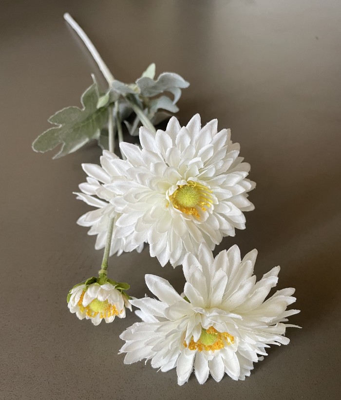 Chrysant - 4 koppig - wit Chrysant - 4 koppig - wit