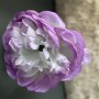 Lotusbloem - 4 koppig - paars