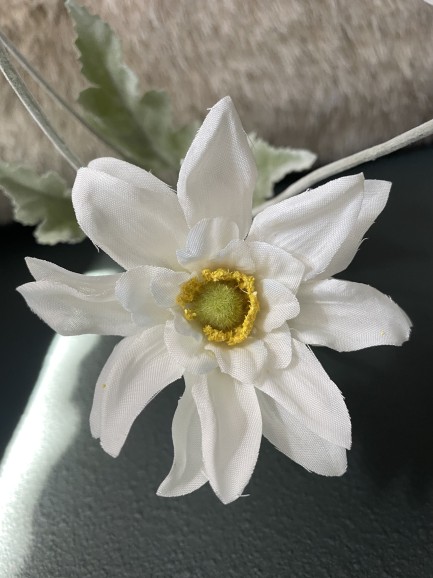 Wilde Chrysant - 4 koppig - wit Wilde Chrysant - 4 koppig - wit