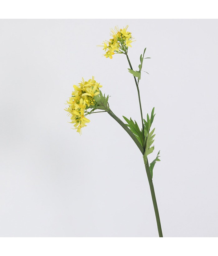 Hortensia geel