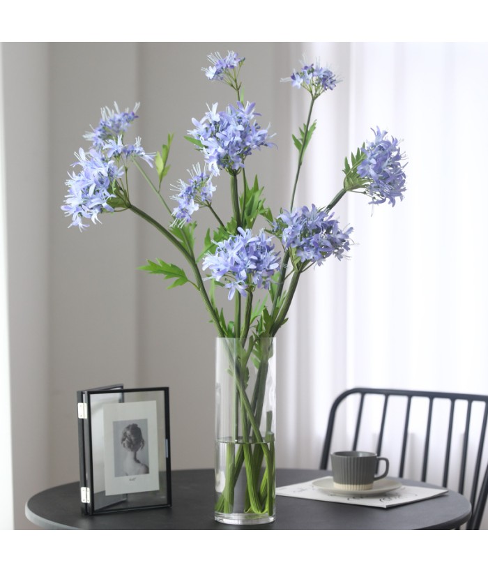 Hortensia violet