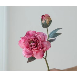 Pioenroos groot - roze