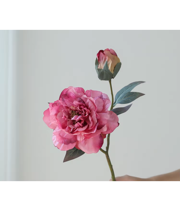 Pioenroos groot - roze