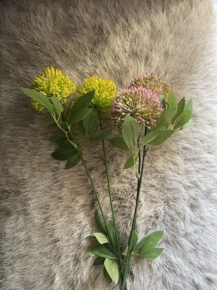 Paardenbloem - geel Paardenbloem - geel