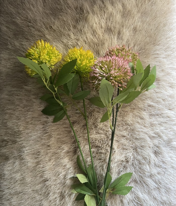 Paardenbloem - geel Paardenbloem - geel