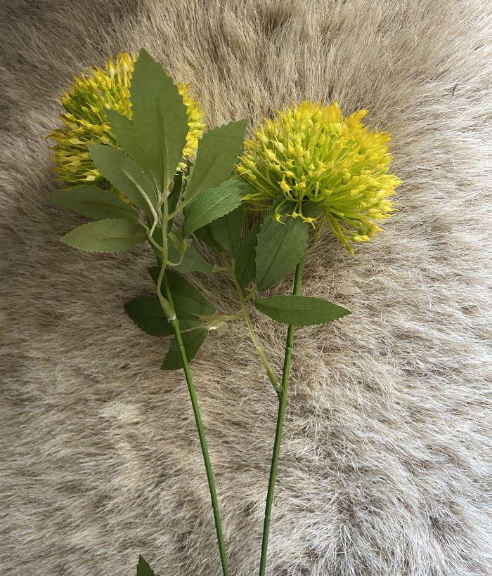 Paardenbloem - geel Paardenbloem - geel