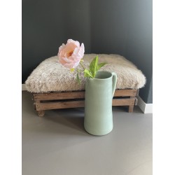 Pioenroos - roze