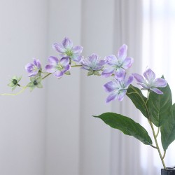 Jasmijn - 9 bloemen - paars