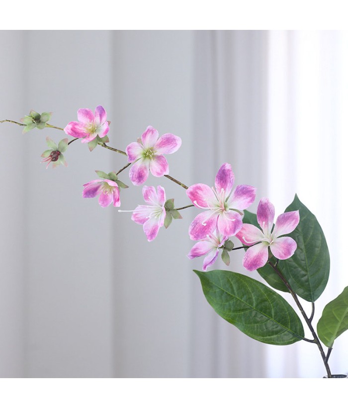 Jasmijn - 9 bloemen - roze