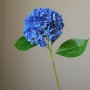 Hortensia - groot - blauw