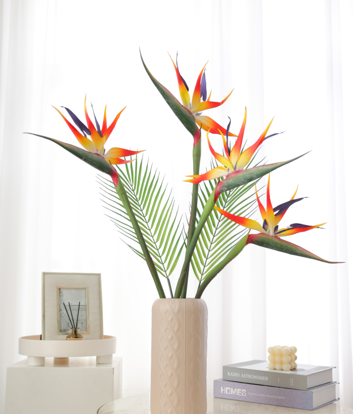 Paradijsvogelplant - groot - oranje