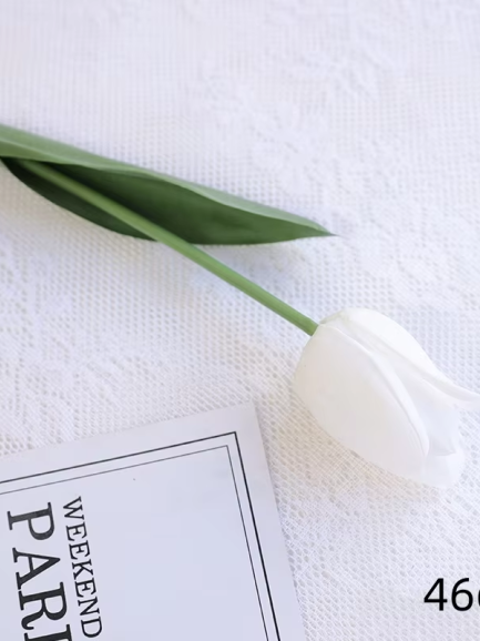 Tulp - wit Tulp - wit