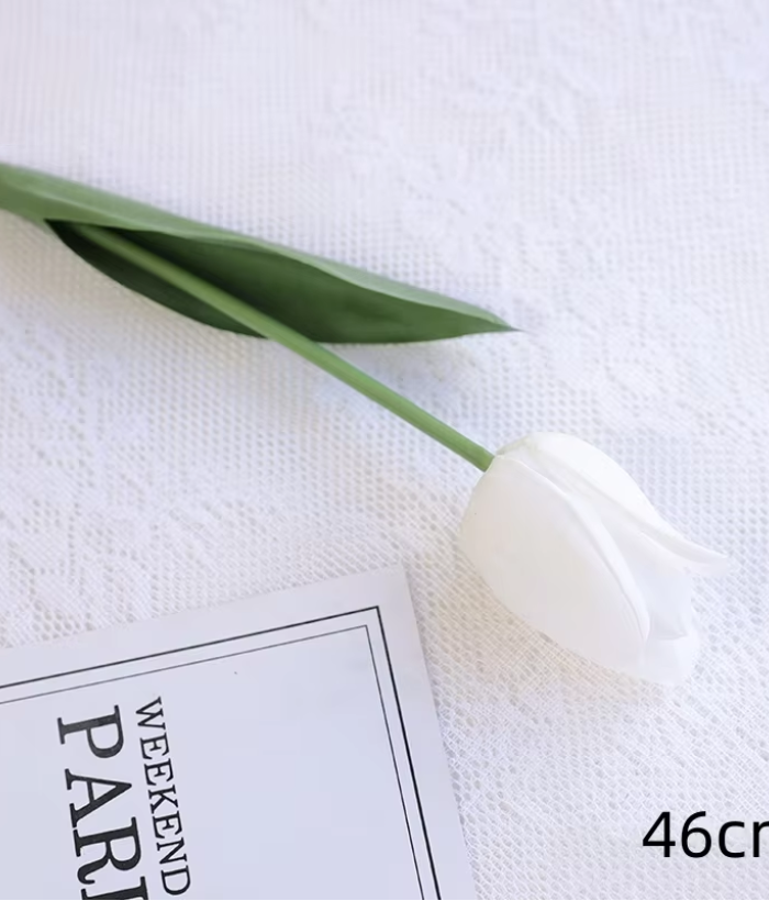 Tulp - wit Tulp - wit