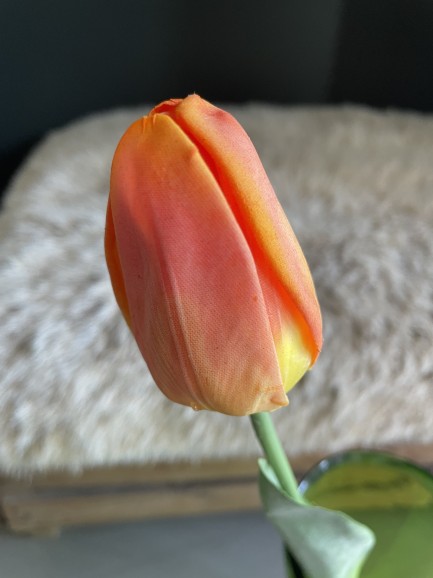 Tulp - oranje Tulp - oranje