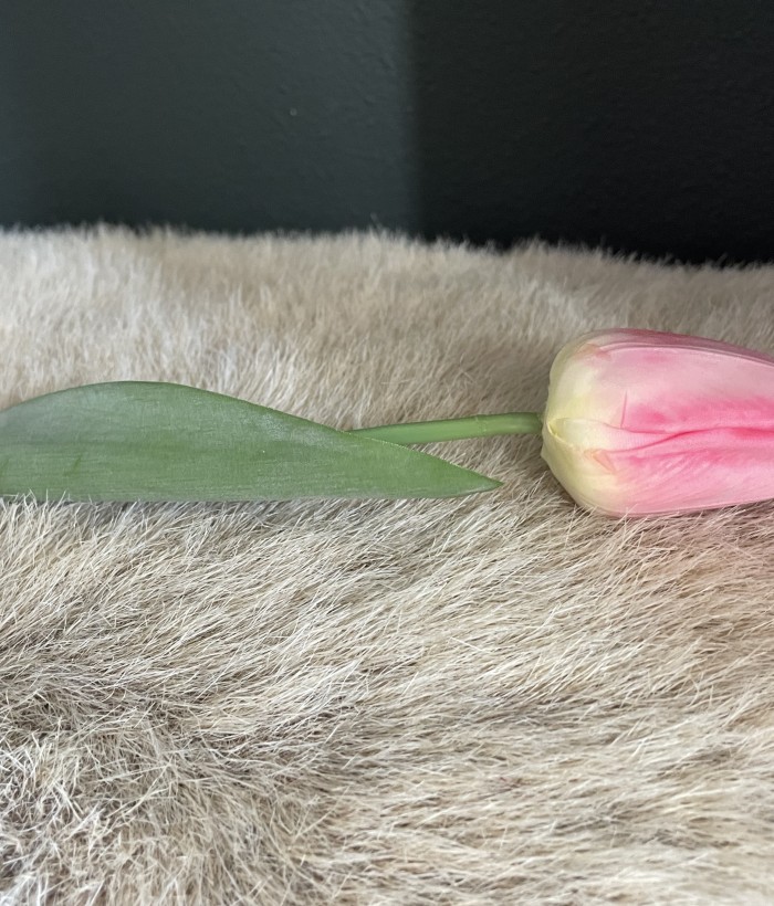 Tulp - donkerroze Tulp - donkerroze