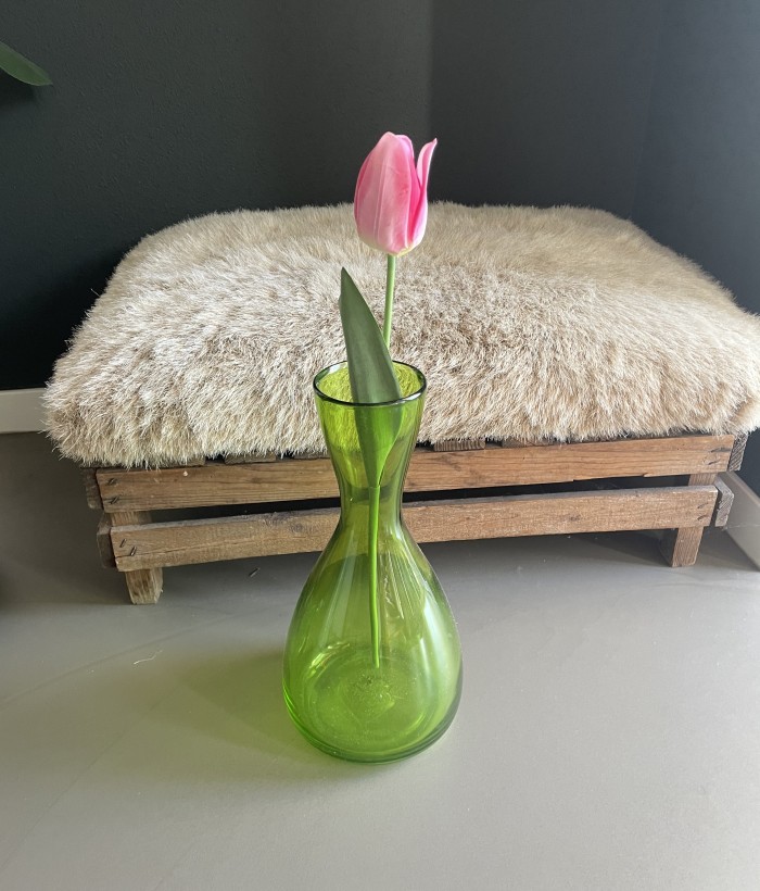 Tulp - donkerroze Tulp - donkerroze