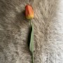 Tulp - oranje