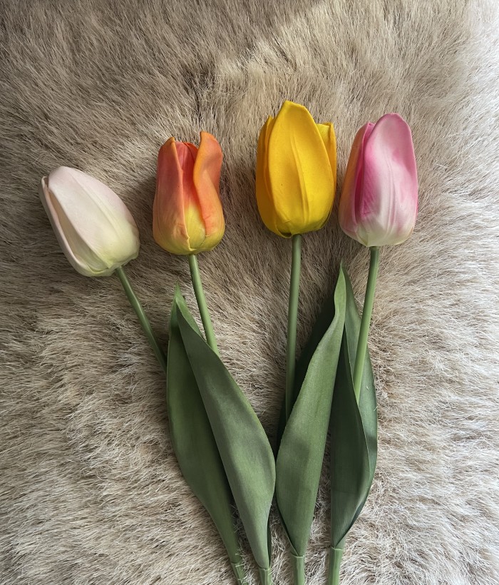 Tulp - donkerroze Tulp - donkerroze