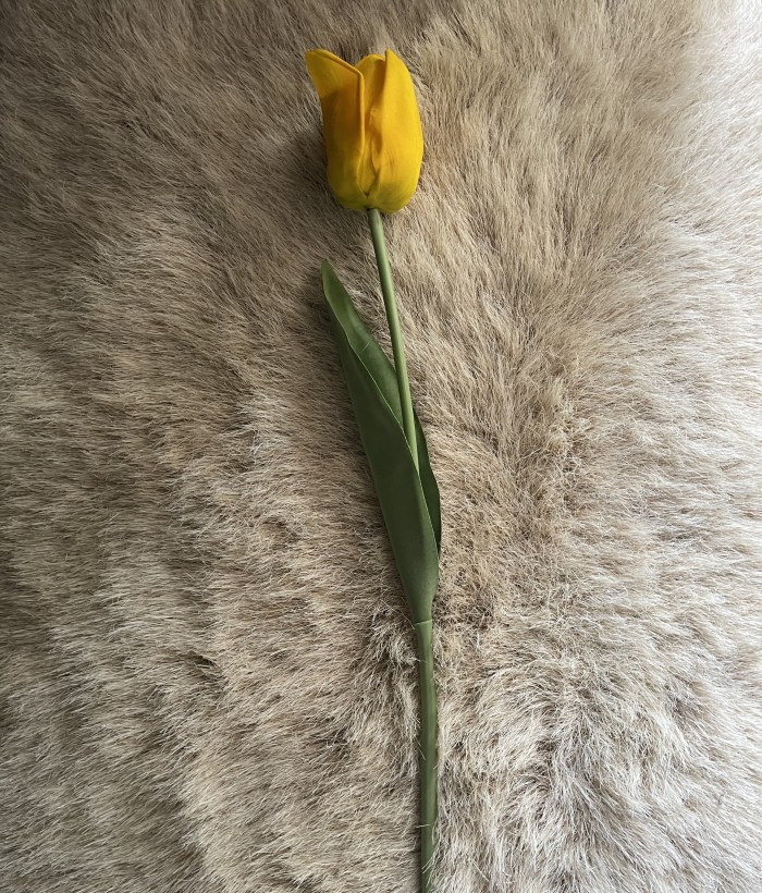 Tulp - geel Tulp - geel
