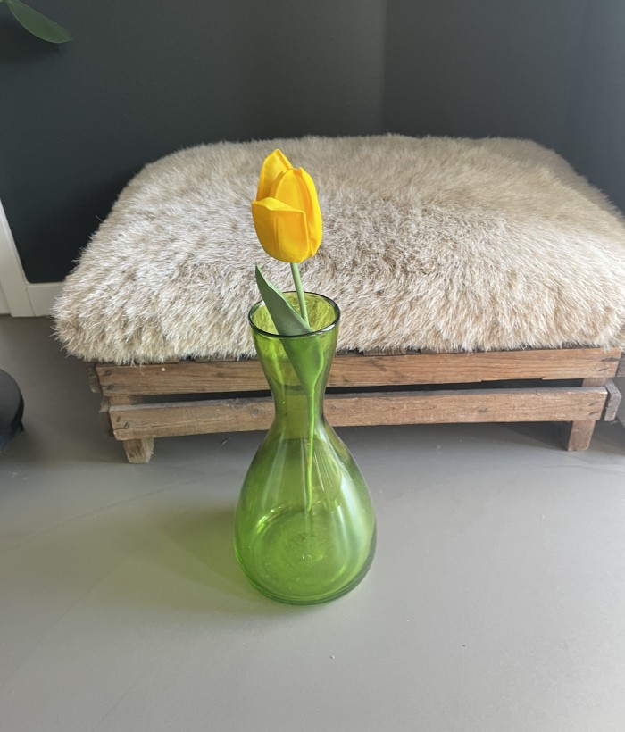 Tulp - geel Tulp - geel
