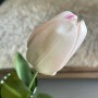 Tulp - lichtroze