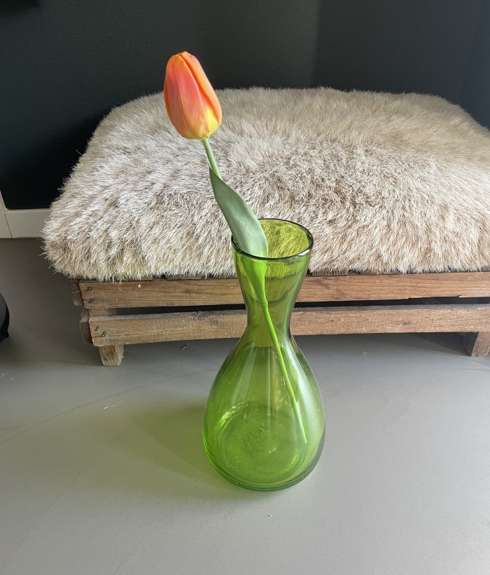 Tulp - oranje Tulp - oranje