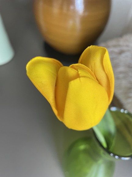 Tulp - geel Tulp - geel