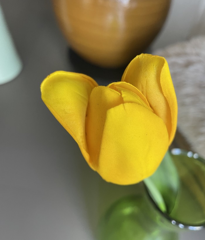 Tulp - geel Tulp - geel