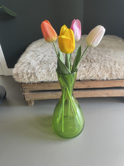 Tulp - donkerroze Tulp - donkerroze