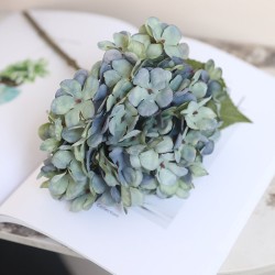 Hortensia (Hydrangea) klein - groen/blauw