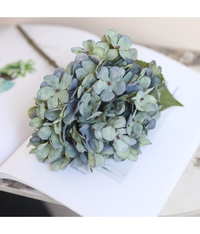 Hortensia (Hydrangea) klein - groen/blauw