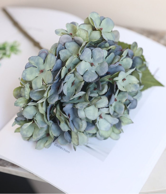 Hortensia (Hydrangea) klein - groen/blauw